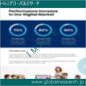 グローバルリサーチ調査レポートのイメージ